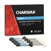 Charisma Easy 4x4gr + Vivida Prophy Pen 6% молив за след избелване