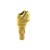 Multi unit abutment 17° + TiN винт