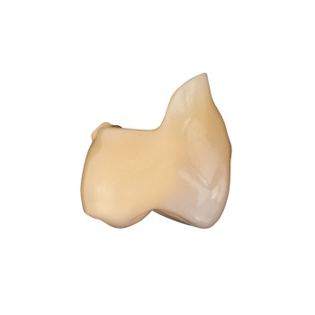 Artic digital 8 постериор зъби 34 U/L 20 градуса