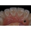 Signum enamel  4g Signum от любов към перфекционизма