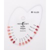 Heraceram Zirconia 750 Gingiva set