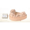 Moldastone CN - висококачествен гипс тип IV - 4.5kg светлокафяв