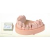 Moldastone CN - висококачествен гипс тип IV - 4.5kg светлокафяв